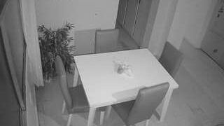 voyeurcam-jb-dining